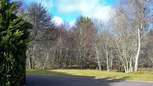 A paved driveway leading to a building surrounded by trees. - 2 bedroom accommodation in Dinnet, near Ballater (Dinnet, near Ballater)