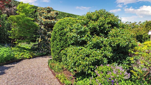 A gravel pathway winding through a lush garden with various green shrubs and flowering plants. - 3 bedroom accommodation in Dunblane (Dunblane)