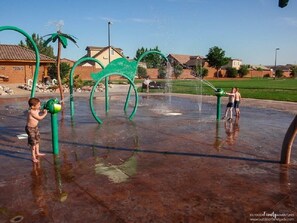 Kids can splash and play in this fun outdoor water area featuring a palm tree and dinosaur design.