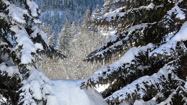A wooden sign for Pennay's at River Run, surrounded by snow-covered trees. - Best Deal, small 2 bedroom unit (Ketchum)
