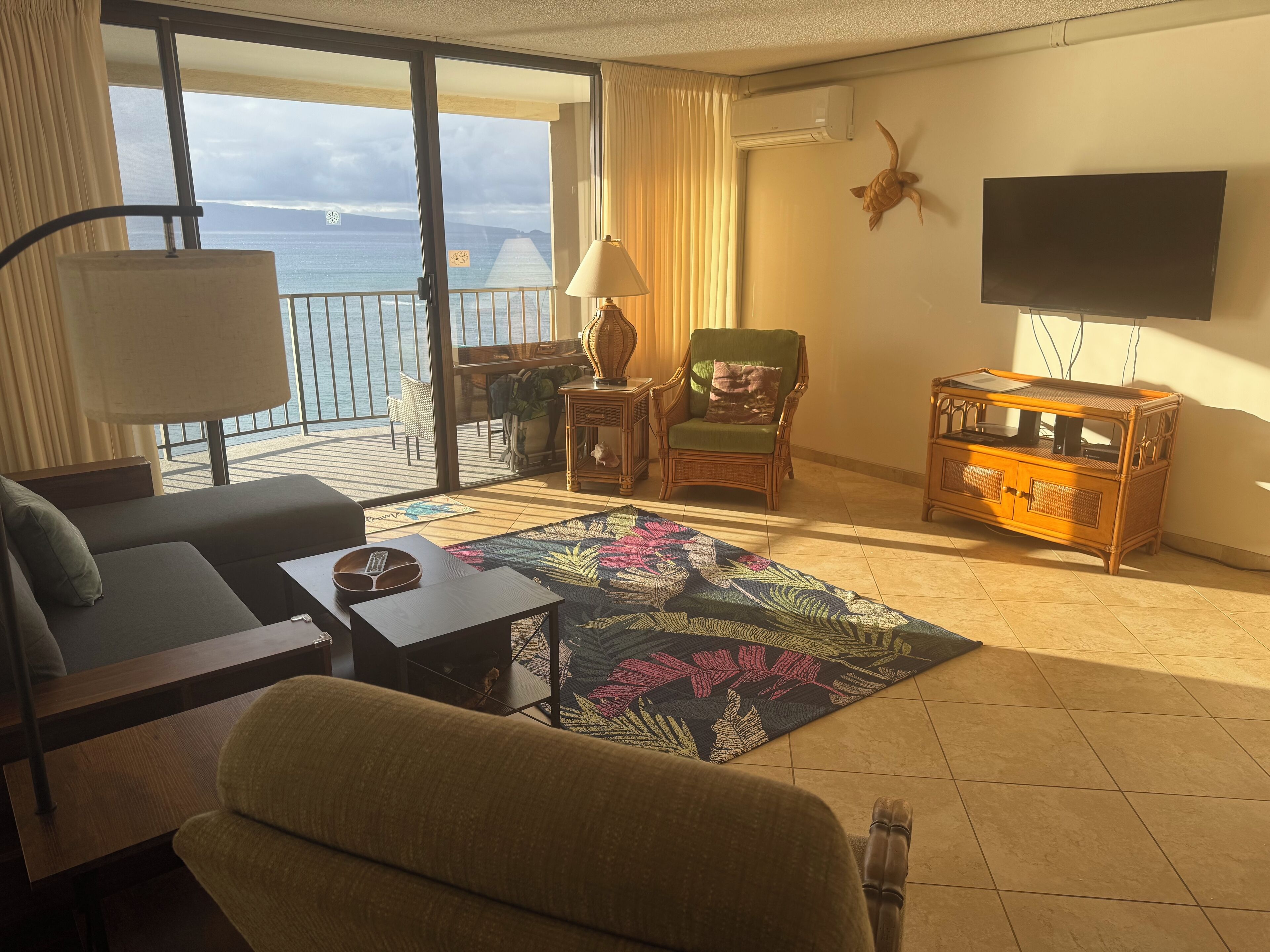 Smart TV, DVD player, books, stereo