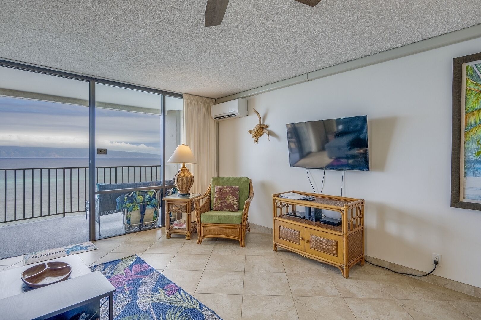 Smart TV, DVD player, books, stereo