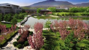 Un jardin aménagé avec un étang, des allées et des bâtiments en arrière-plan.