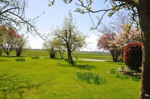 Property grounds - Small but nice G. Reimann FW 4 - Holiday apartments with G. Reimann (Kappeln)