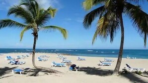 Ein Strand mit Palmen und Liegestühlen.