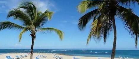 Tæt på stranden, liggestole, badehåndklæder