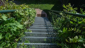 A metal staircase surrounded by greenery.