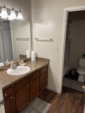 Combined shower/bathtub, hair dryer, towels, soap