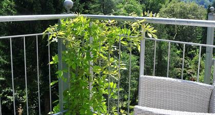 Traumblick, Balkon und naturnah