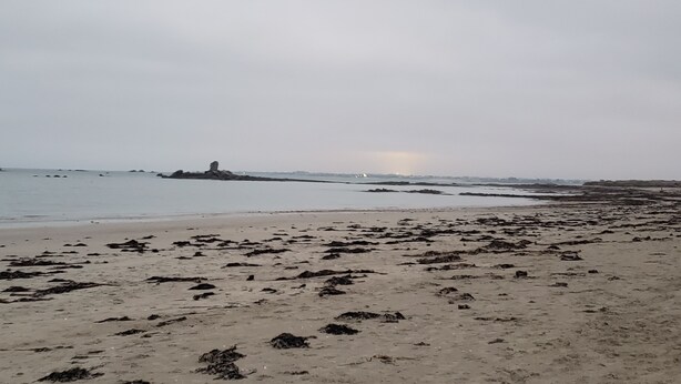 Una playa con algas dispersas, un promontorio rocoso y agua tranquila.
