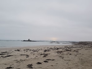 Ein Strand mit verstreuten Algen, einem Felsen und ruhigem Wasser.