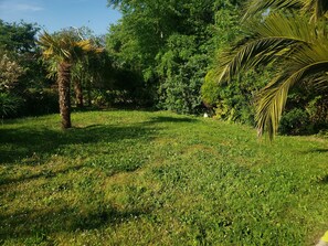 Terrain de l’hébergement 