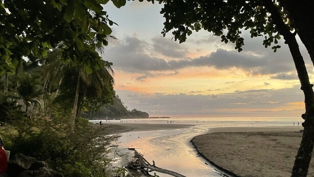 Une plage avec une côte incurvée, des arbres et un ciel dégagé.