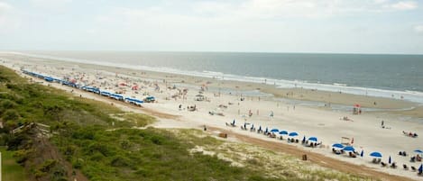 Nära stranden