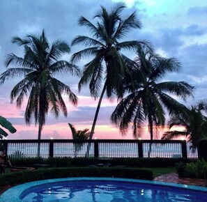 A pool with palm trees and a sunset view.
