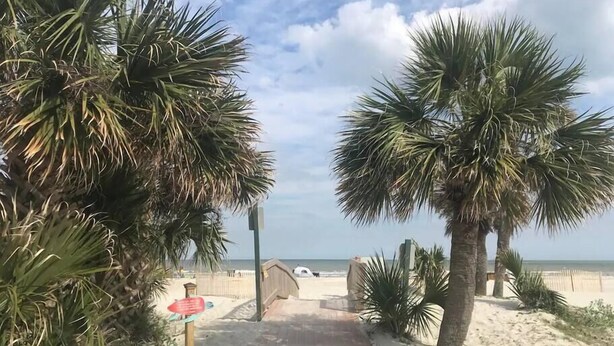 A pathway leading to a beach with palm trees and a wooden structure. - 2BD/2BATH Villa! Near Beach! HHR Building 1! (Hilton Head Island)
