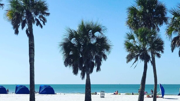 A beach with palm trees and blue tents. - Few days still available this winter! King-size bed. Free parking. Renovated! (Clearwater)