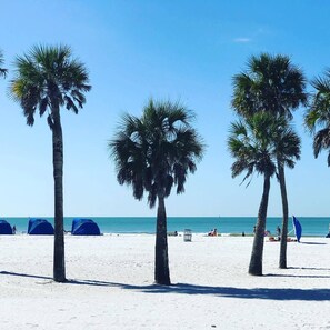 A beach with palm trees and blue tents. - Few days still available this winter! King-size bed. Free parking. Renovated! (Clearwater)
