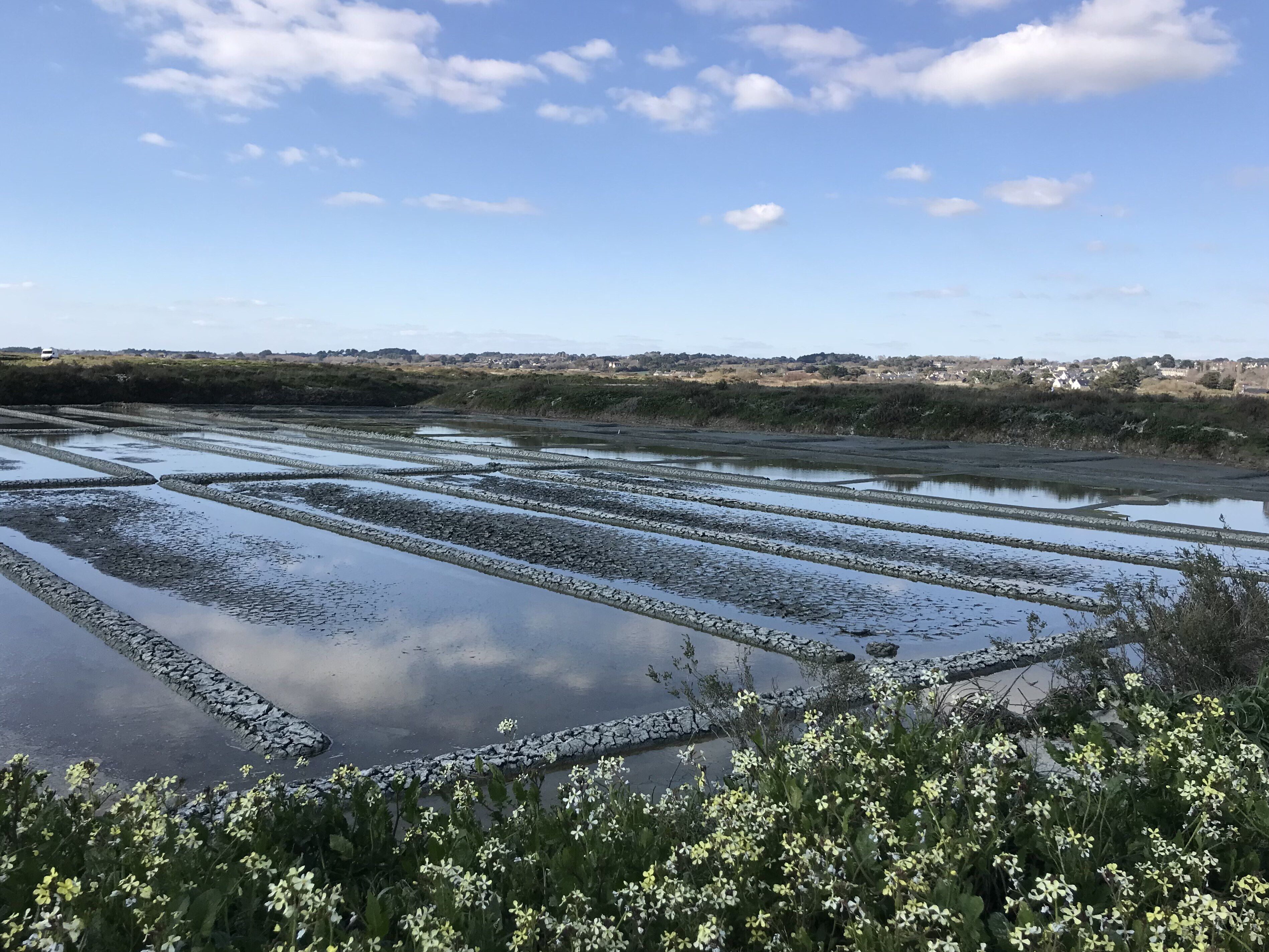 A landscape with water channels and vegetation.