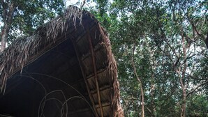 Jungle Villa Nah-Ha | Terrace/patio - Pepem Holistic Experience - Peaceful Retreat Near Tulum (Tulum)