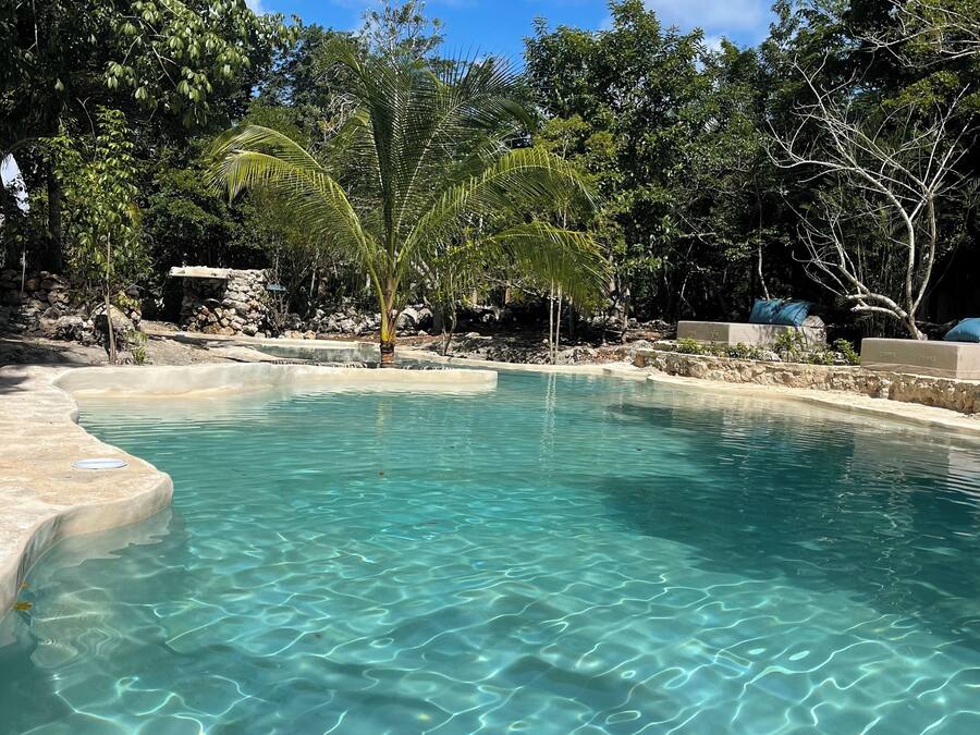 Outdoor pool, sun loungers