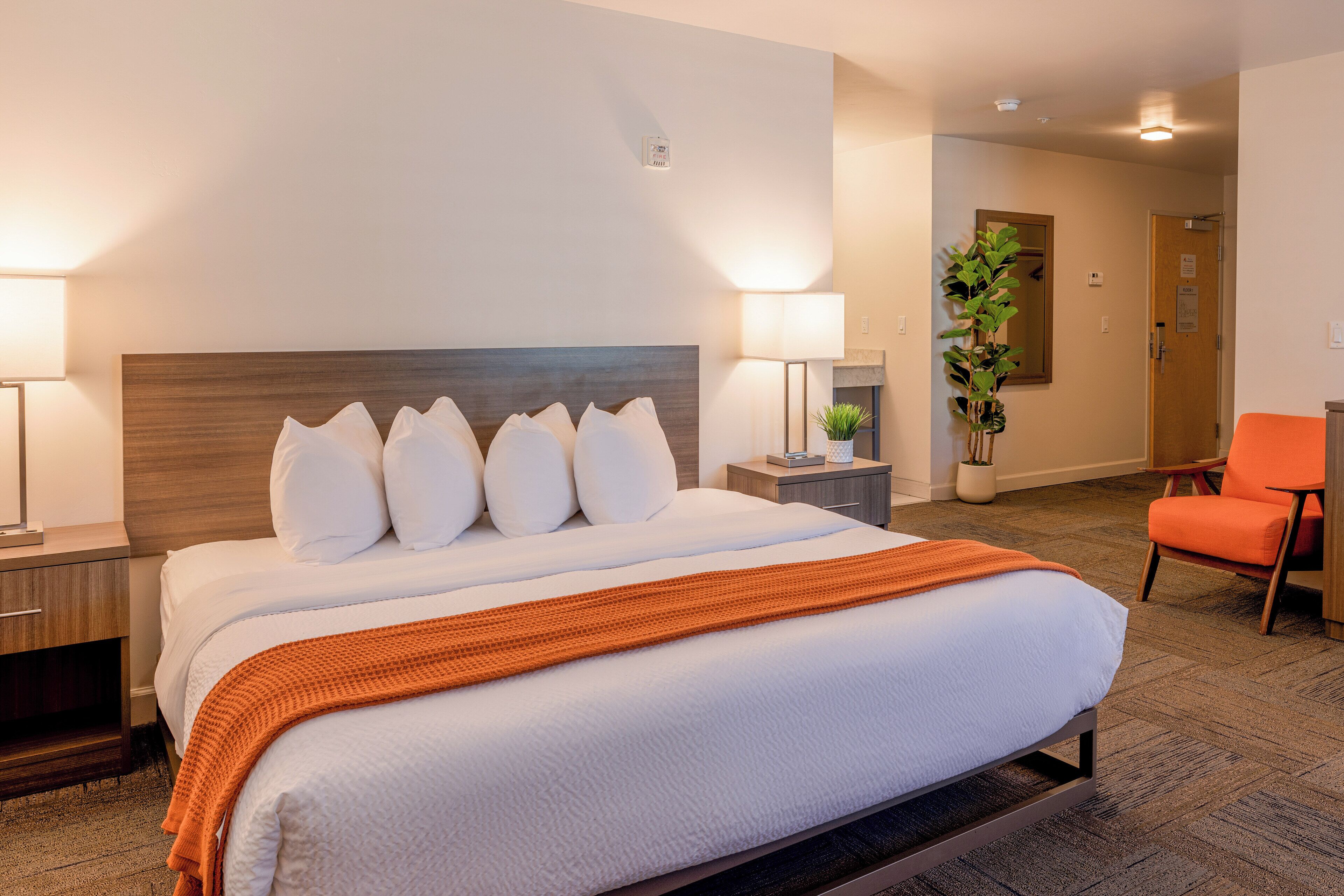 Quarto superior, 1 cama King, chuveiro com barras de apoio | Roupas de cama de algodão egípcio, roupas de cama premium