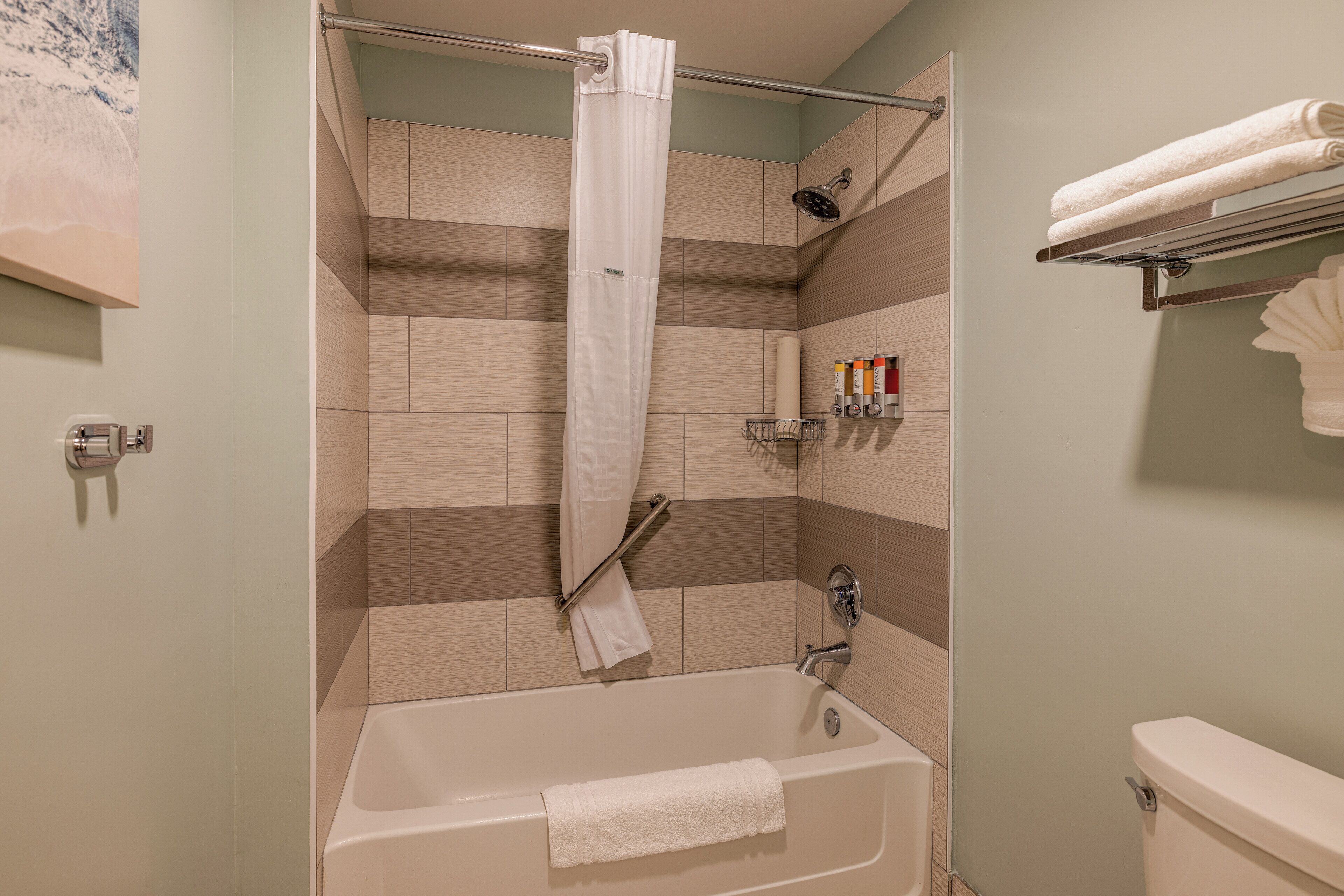 Een badkamer met een bad, douche en toilet. Handdoeken en toiletartikelen liggen op de muur.