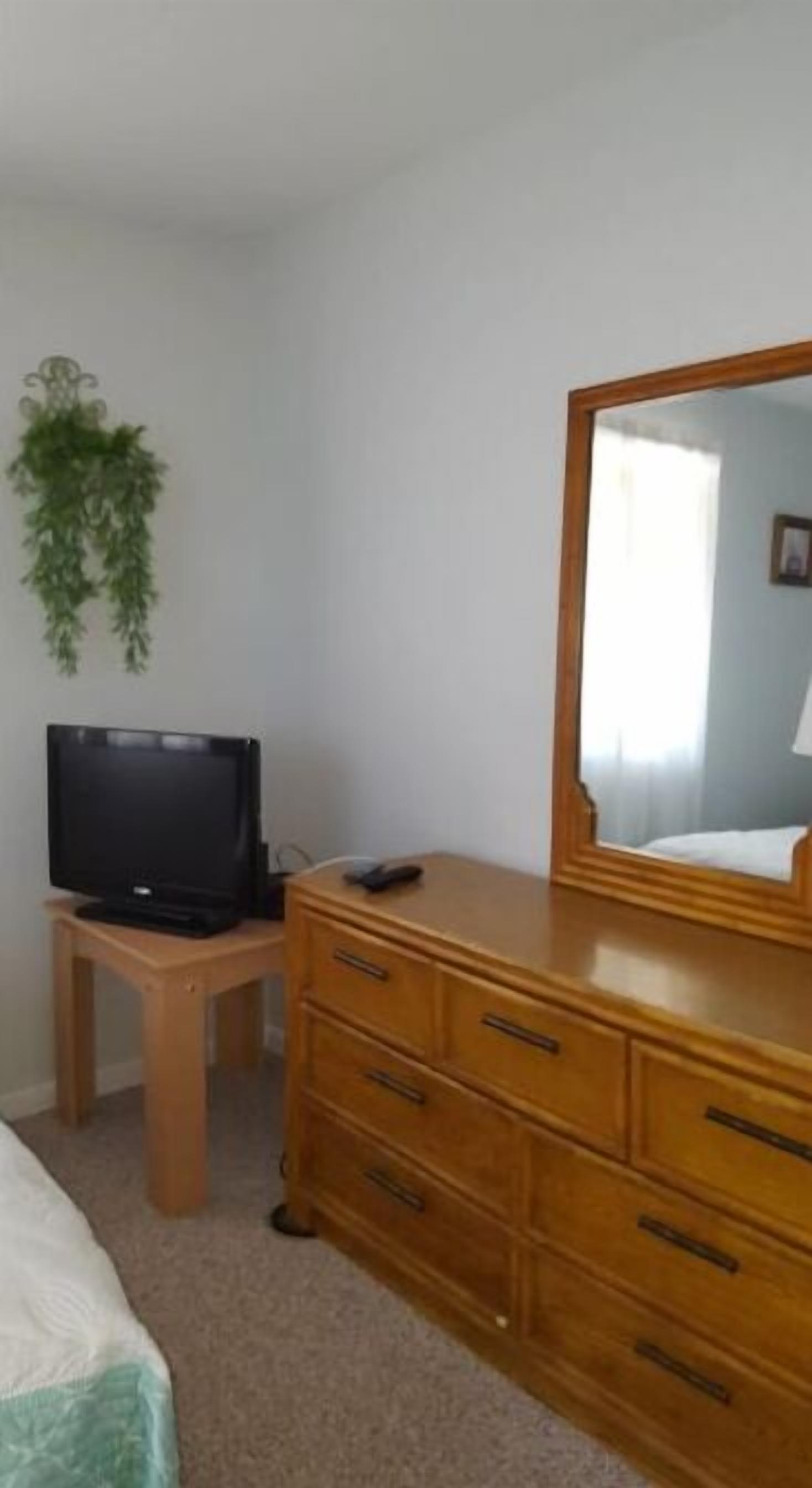 Une chambre à coucher avec une commode en bois, un téléviseur posé sur une petite table et un miroir.