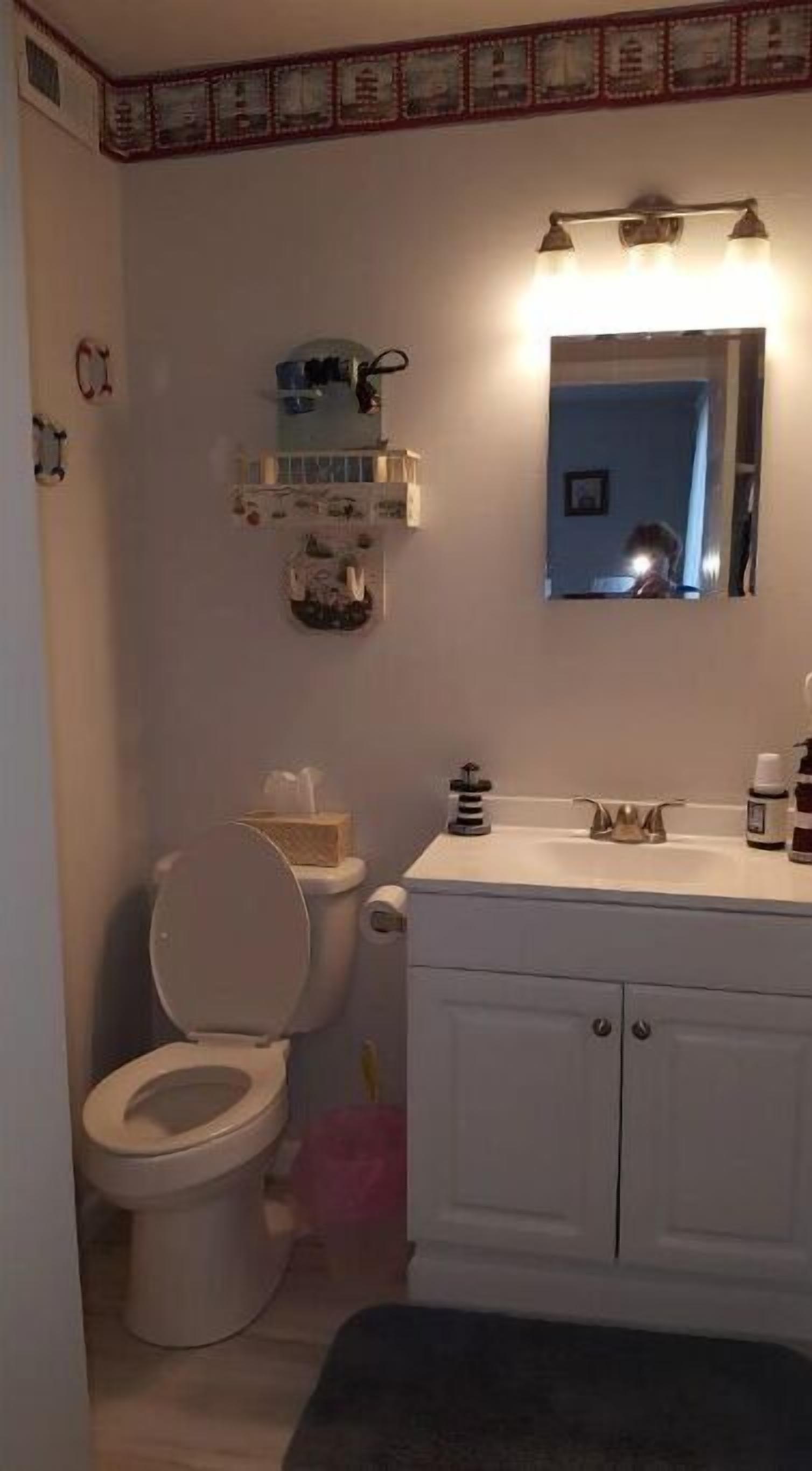 Een badkamer met toilet, wastafel en spiegel. Boven de wastafel zijn planken en op de vloer ligt een vloerkleed.