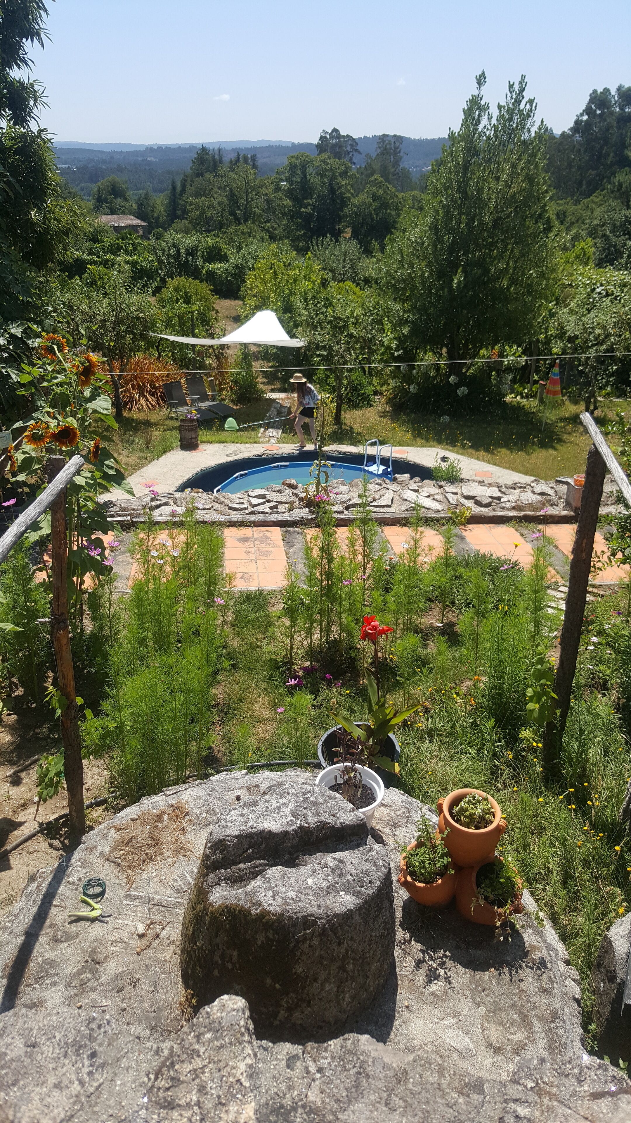 Overnattingsstedets uteområder