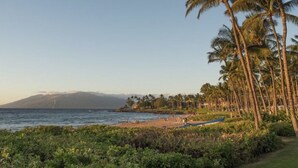 Ein Strand mit Palmen und einem Berg im Hintergrund.
