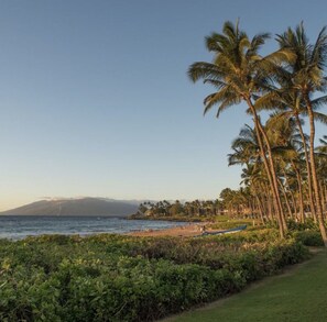 On the beach, sun-loungers, beach towels - Beautiful South Shore Maui 2B/2B Condo w Ocean Views Next to Pickle Ball Courts (Kihei)