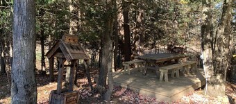 Cozy Cabin in the woods with pool table!