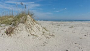 A sandy beach with dunes and sparse vegetation.