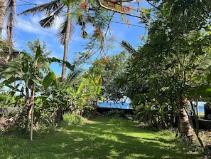 A lush garden with various tropical plants and a clear view of the ocean.