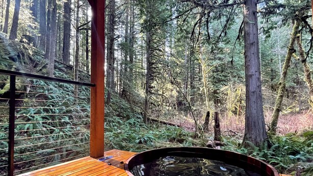 A wooden deck with a hot tub surrounded by a forest. - Mt Baker Cabin w/ Cedar Hot Tub & Panoramic Forest Views (Deming)