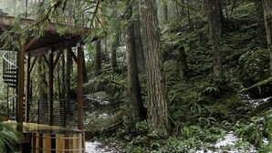 A wooden gazebo with a metal railing in a forested area with snow on the ground. - Mt Baker Cabin w/ Cedar Hot Tub & Panoramic Forest Views (Deming)