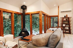 Smart TV, chimenea, libros y estéreo