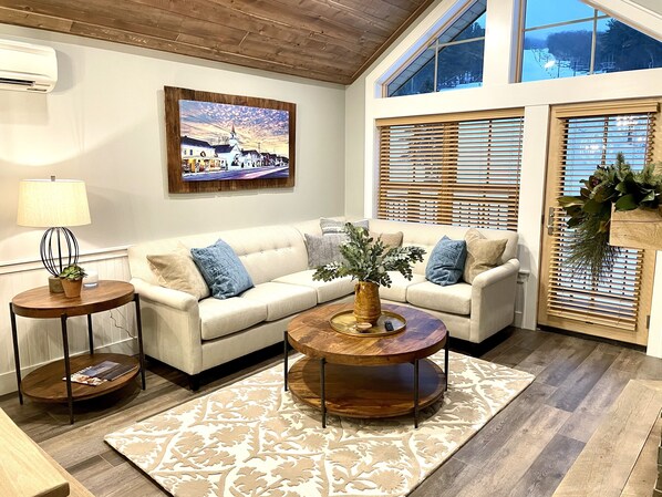 Smart TV, fireplace, books