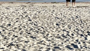 Ein Sandstrand mit zwei Personen, die auf das Meer zugehen.