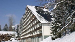A multi-story hotel with a sloped roof, surrounded by snow-covered trees and a clear sky. - Holiday apartment modern and appealing (Bad Mitterndorf)