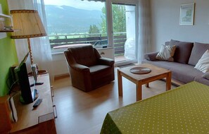 Televisor i estèreo 