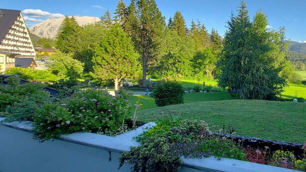 A residential garden with a variety of trees, a well-maintained lawn, and a mountain backdrop.