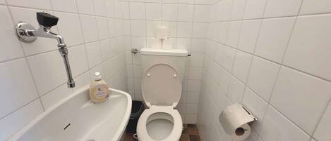 A small, clean bathroom with a white sink, toilet, and shower.
