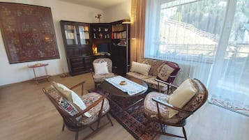 Fernseher, Stereoanlage