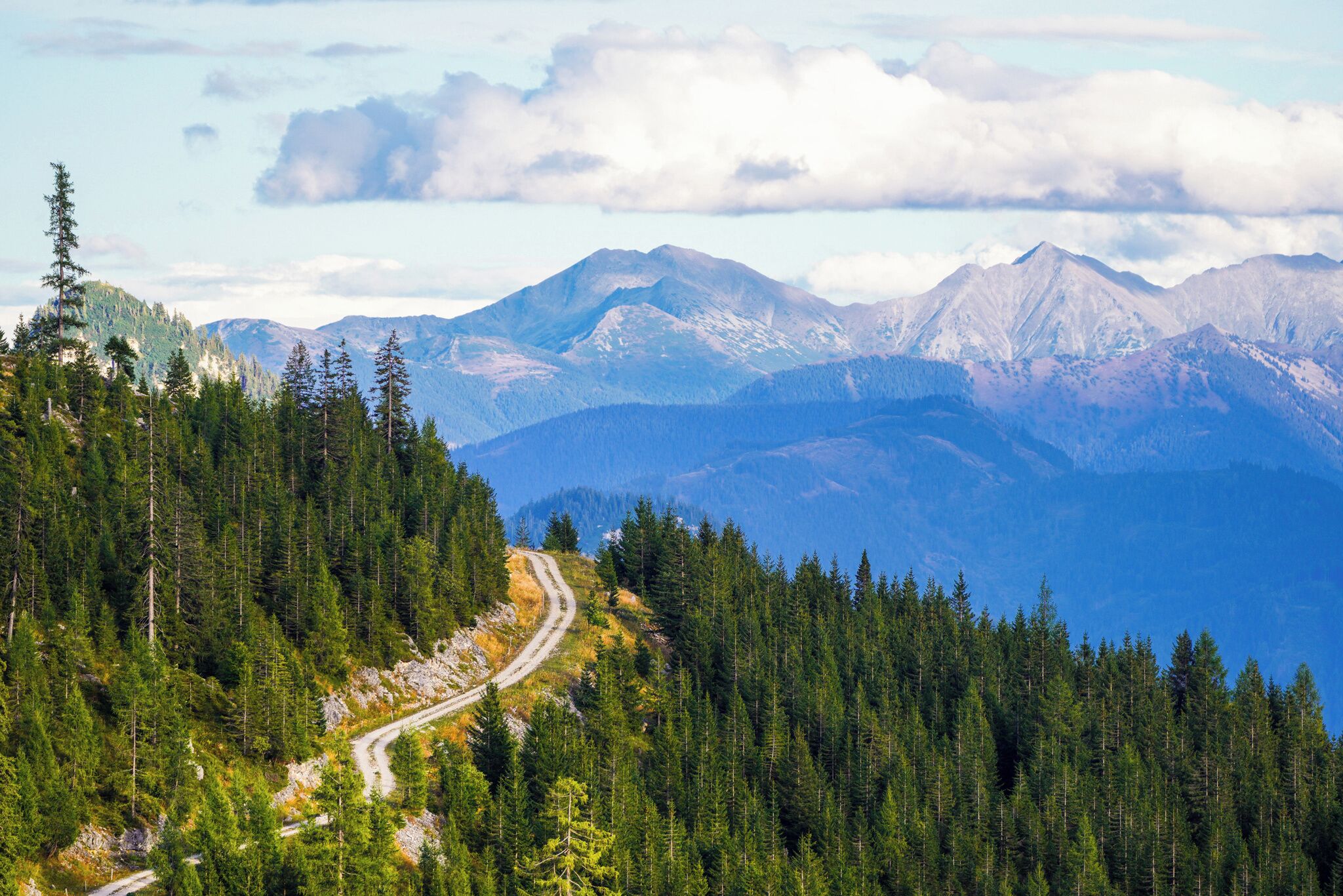 Eine kurvenreiche Bergstraße, umgeben von dichten Wäldern und fernen Berggipfeln.