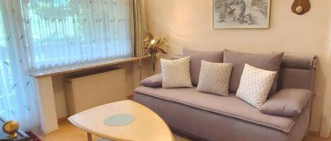 تلفزيون، مدفأة، ستيريو