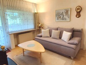 Télévision, cheminée, chaîne hi-fi