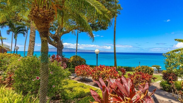 A tropical garden with a view of the ocean, palm trees, and a pathway leading to a beach. - Kuleana 613 1 Bdrm 1 Bedroom Condo by RedAwning (Lahaina)