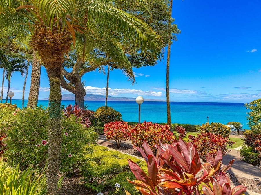 Condo, 1 quarto | Praia